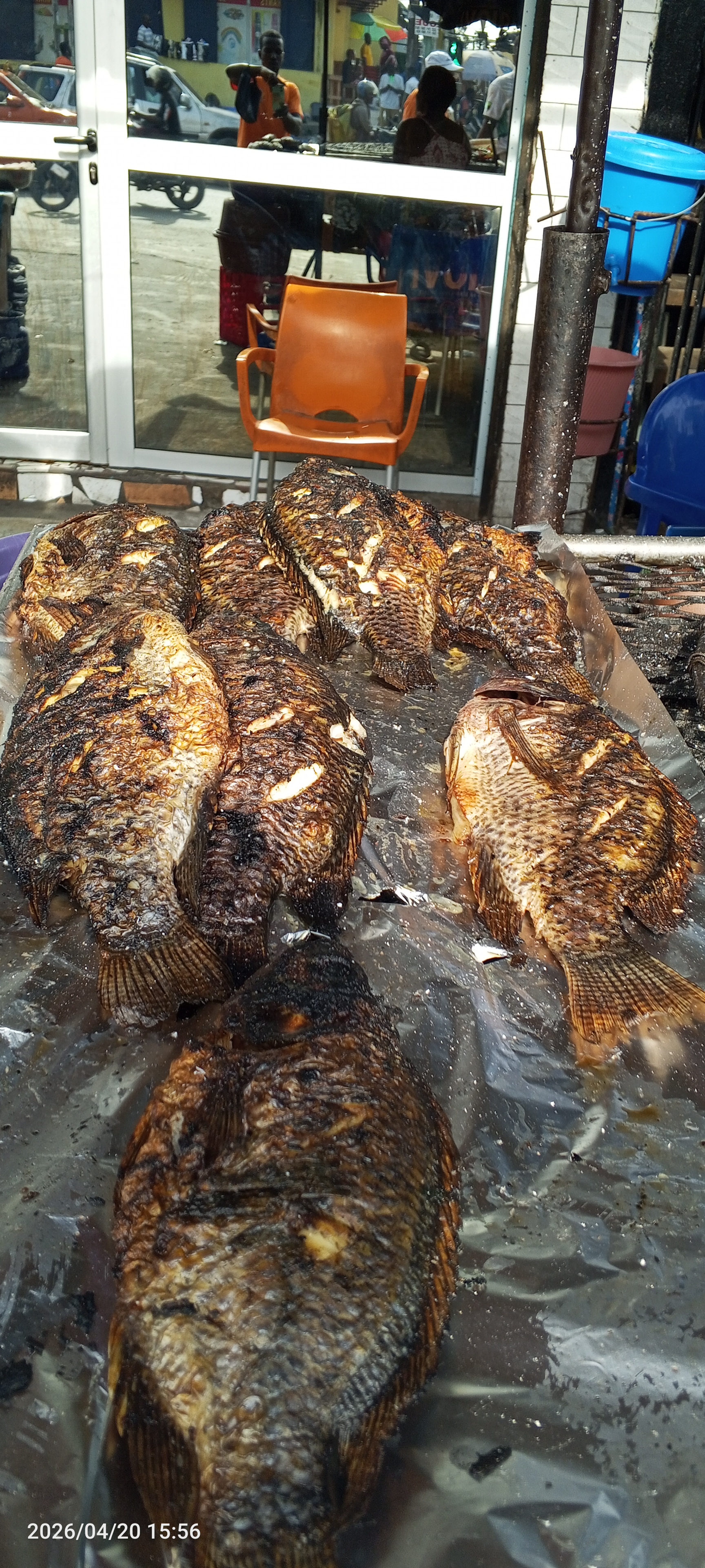 ROSE POISSON BRAISÃ©