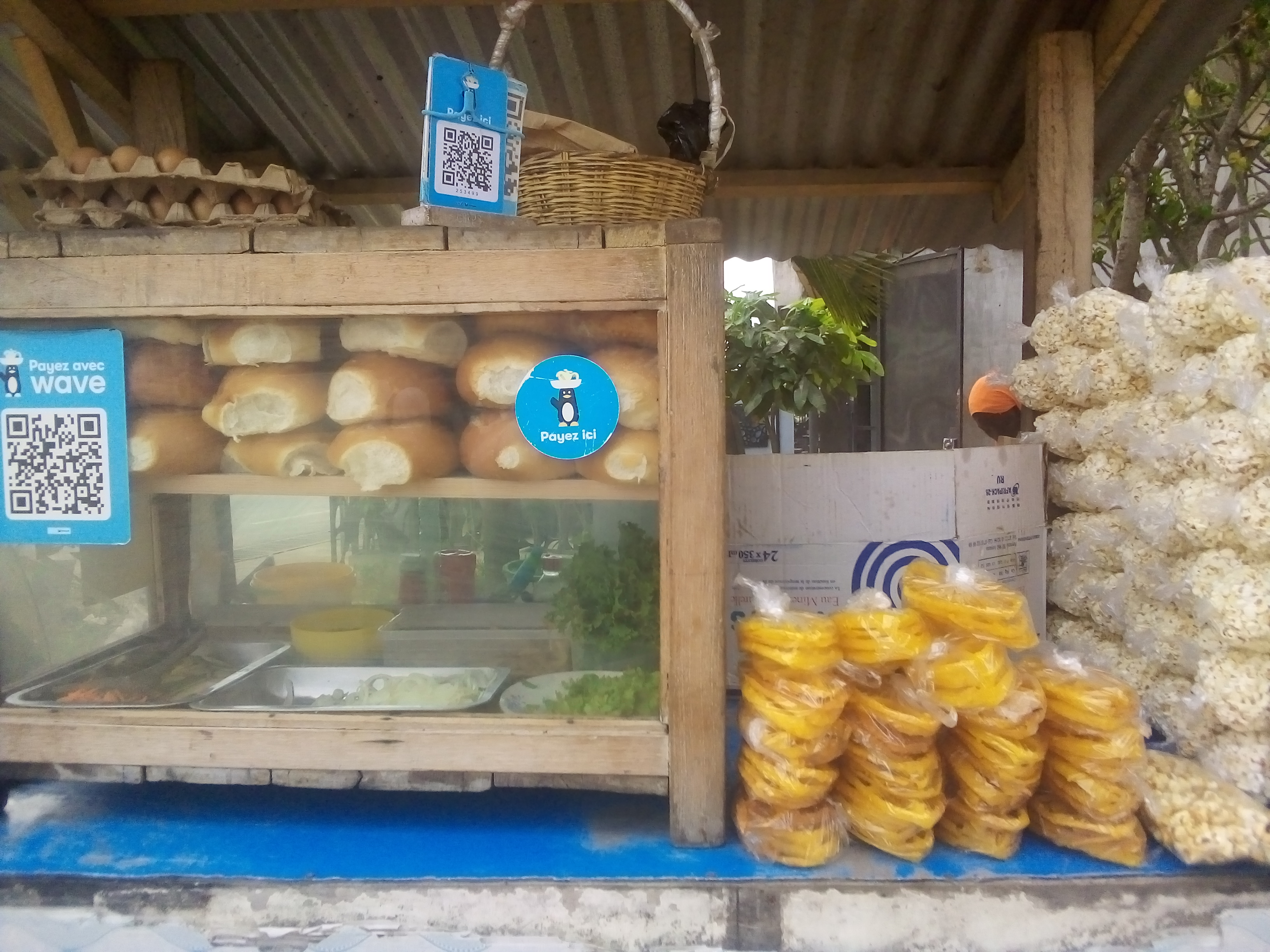 ETS PANINI