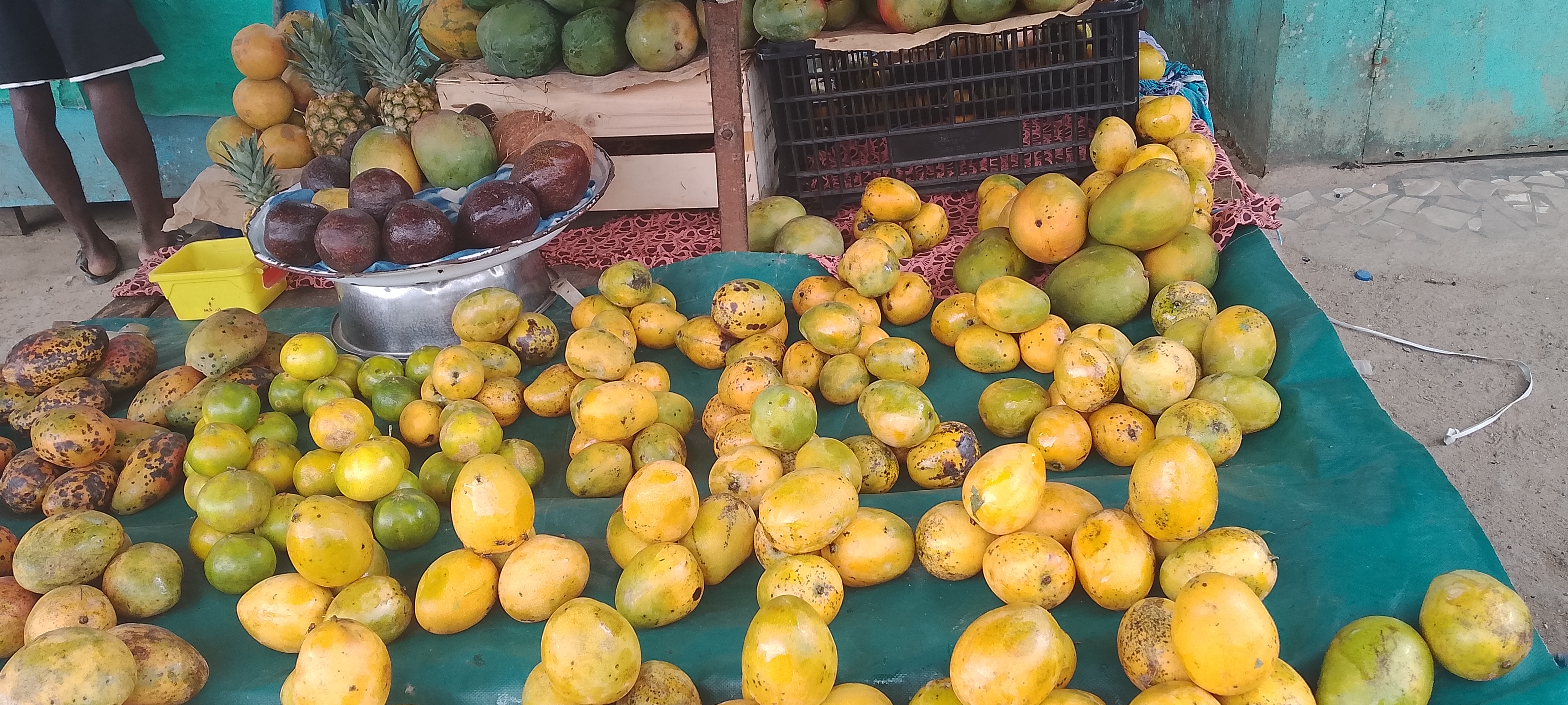 LES BELS FRUITS DE MAMAN BATOU
